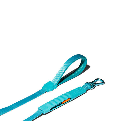 Blue Airleash Gezdirme Tasması - Zee.Dog